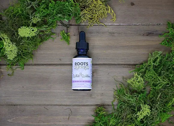 Roots To Remedies - 1 oz White Willow Herbal Extract