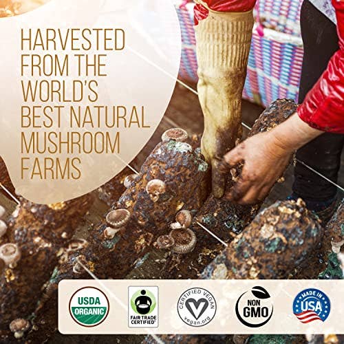 La Republica Coffee - USDA Organic Mushroom Coffee (Individual Pack)