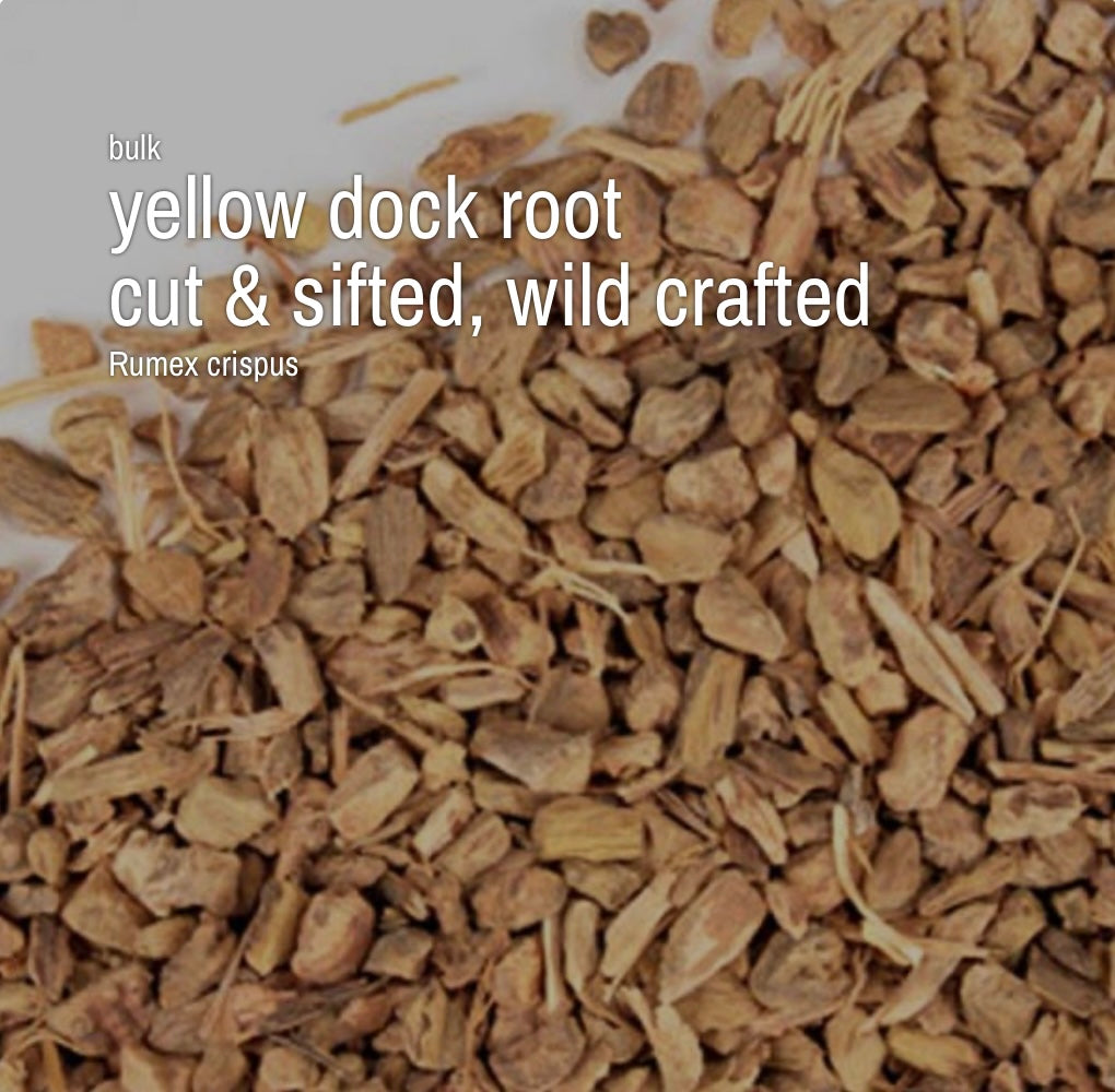 Yellow Dock Root, Cut & SIfted, Wild Crafted (4 oz)