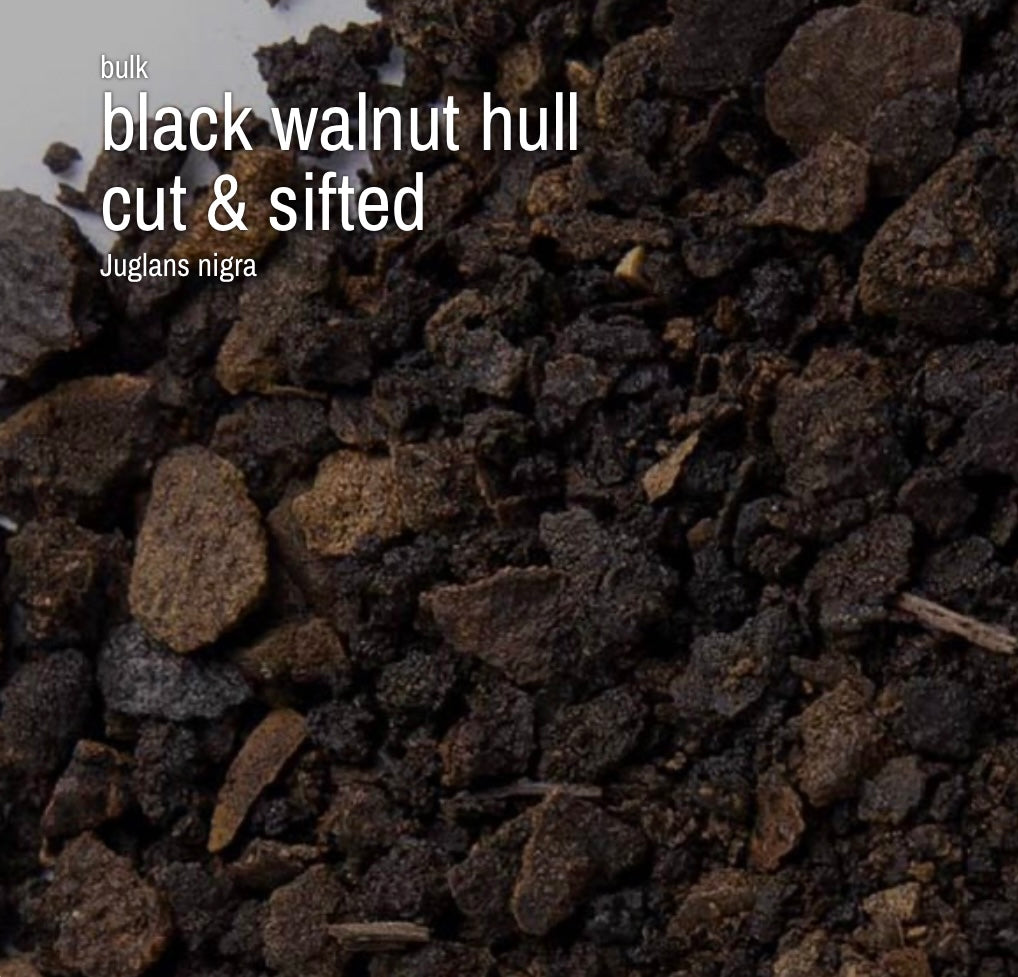 Black Walnut Hull, Cut & Sifted (4 oz)