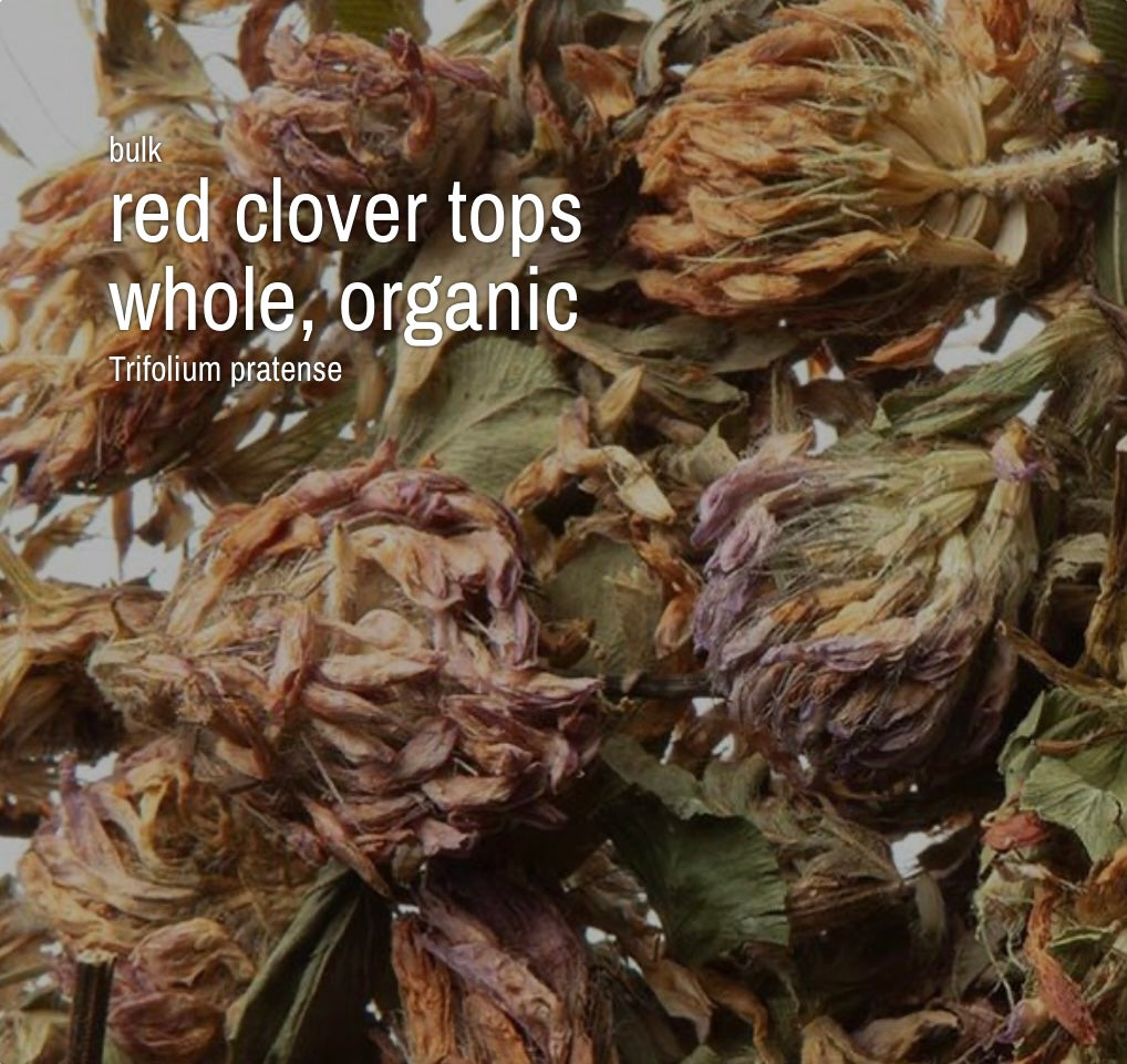 Red Clover Tops, Whole, Organic (4 oz)