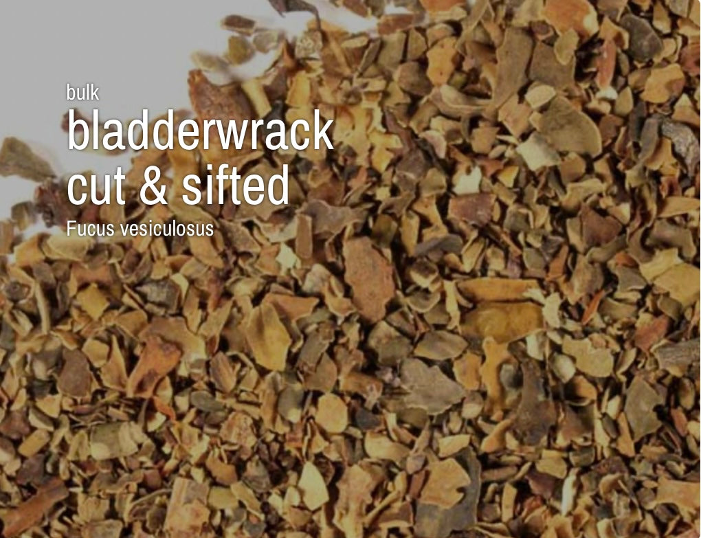 Bladderwrack, Cut & SIfted (4 oz)