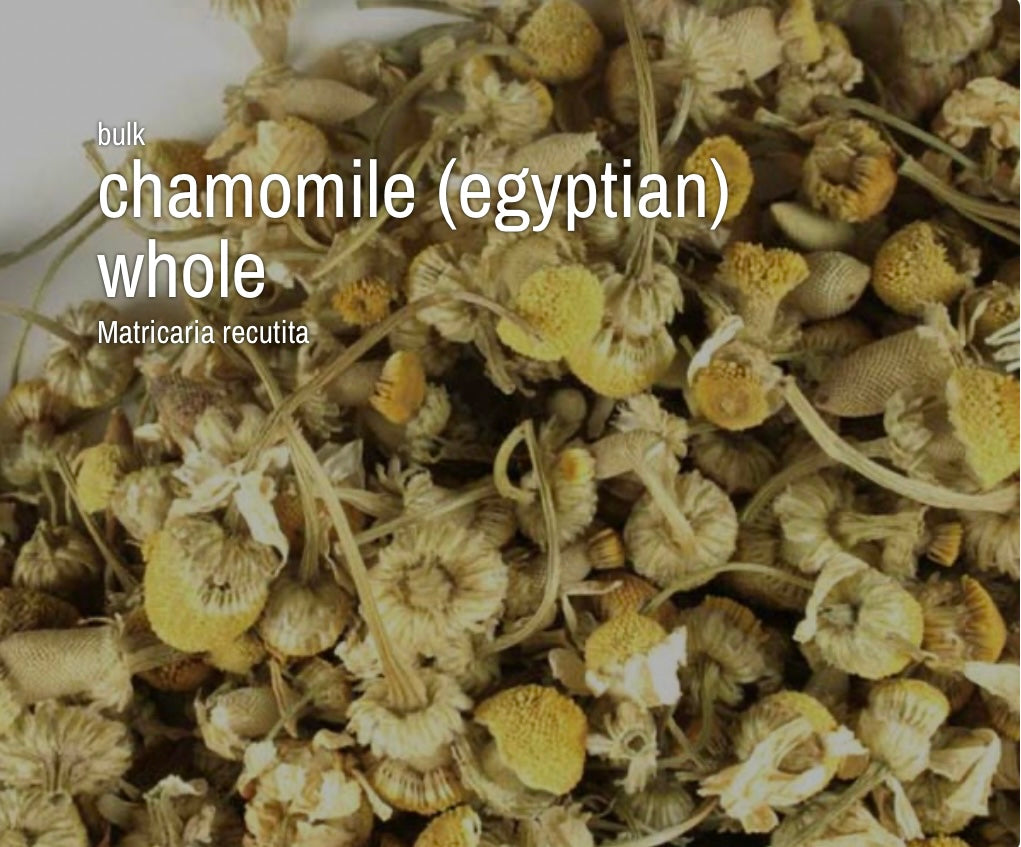 Chamomile (Egyptian), Whole (4 oz)