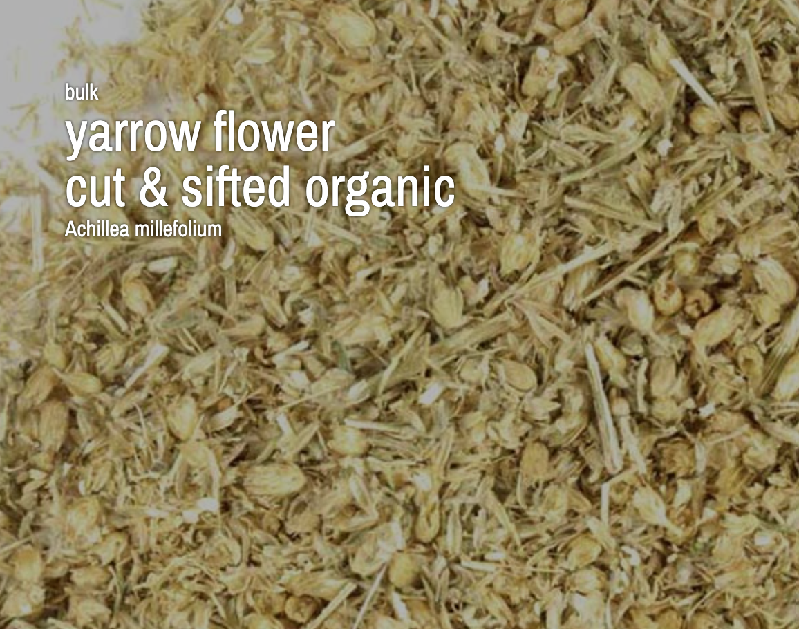 Yarrow Flower, Cut & Sifted, Organic (4 oz)
