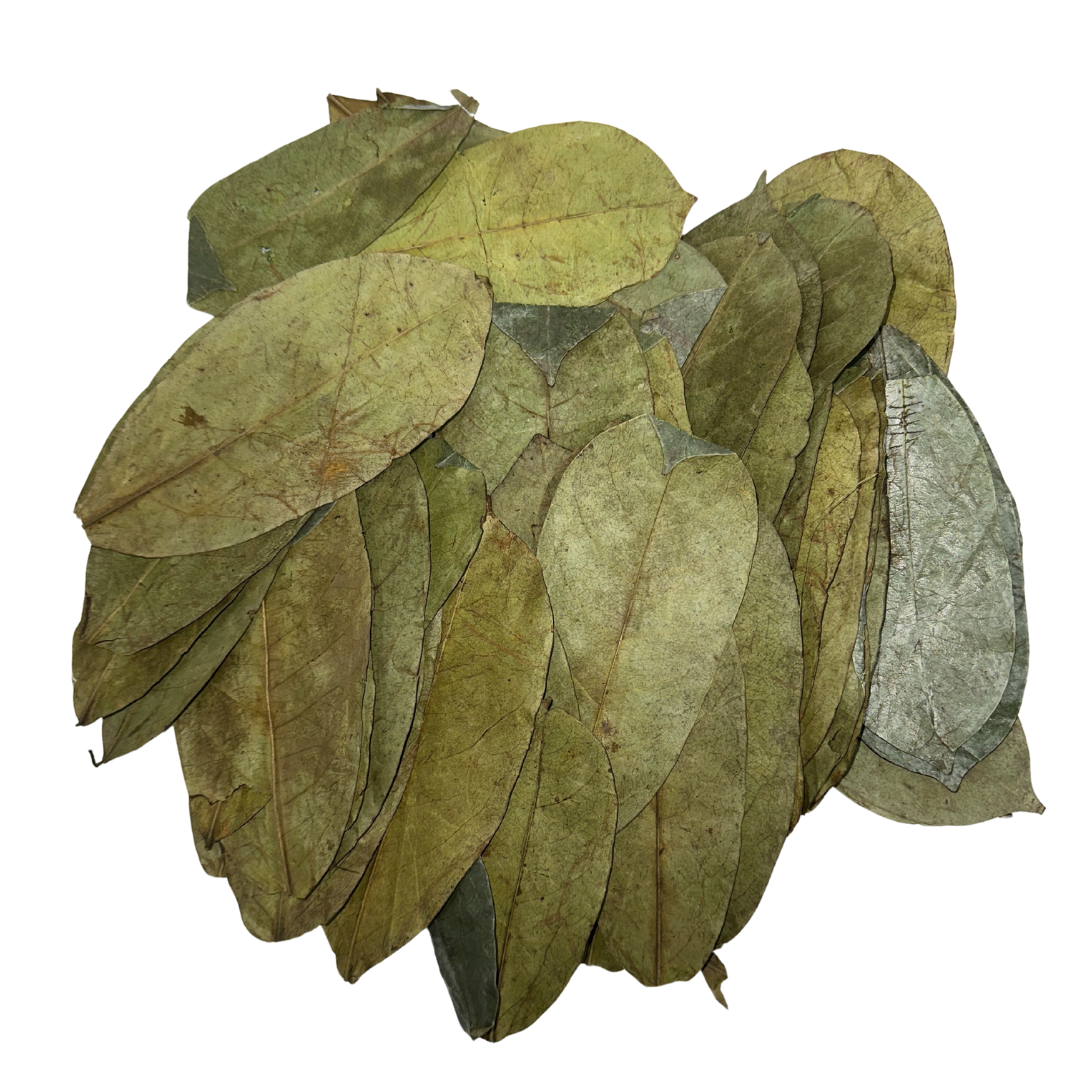 Soursop Leaves, Whole (50 g)
