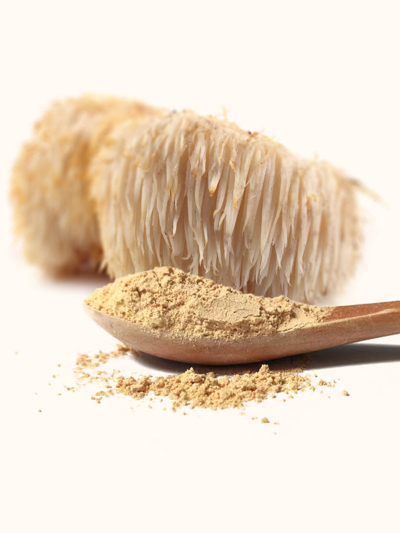 Lion's Mane Mushroom, Powder (4 oz)