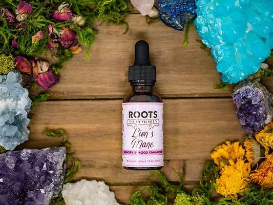 Roots To Remedies - 1oz Lion's Mane Medicinal Mushroom Tincture