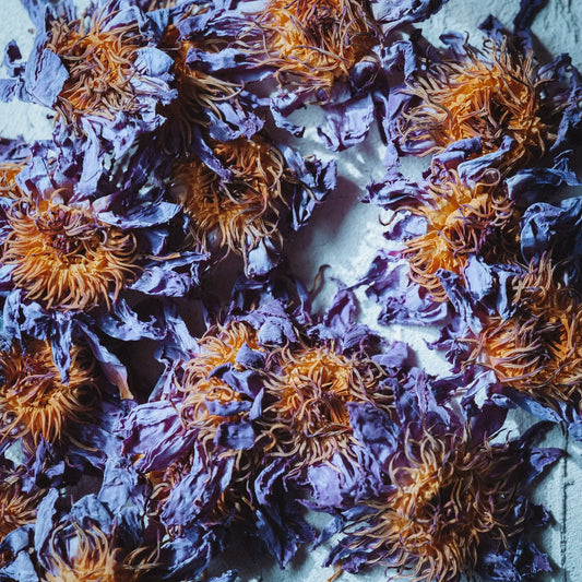 Blue Lotus Flowers, Whole, Organic (2 oz)