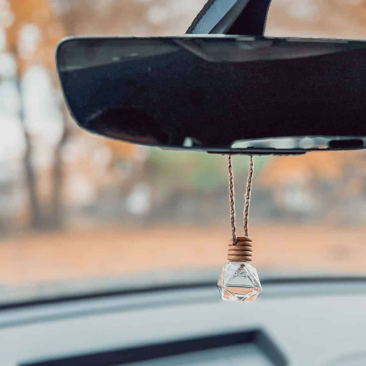 Aqualime - Hanging Car Diffuser