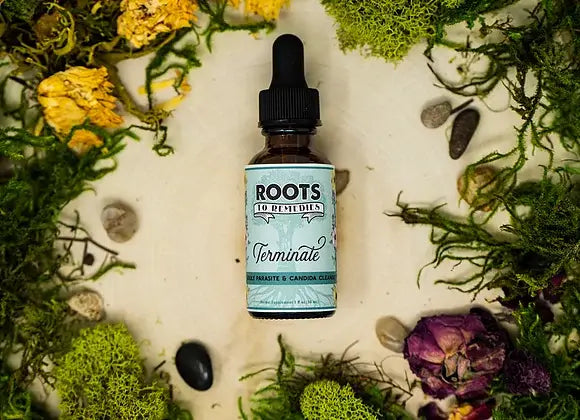 Roots To Remedies Adult Parasite and Candida Cleanse herbal tincture in amber glass bottle with dropper containing organic Wormwood and Black Walnut Hull