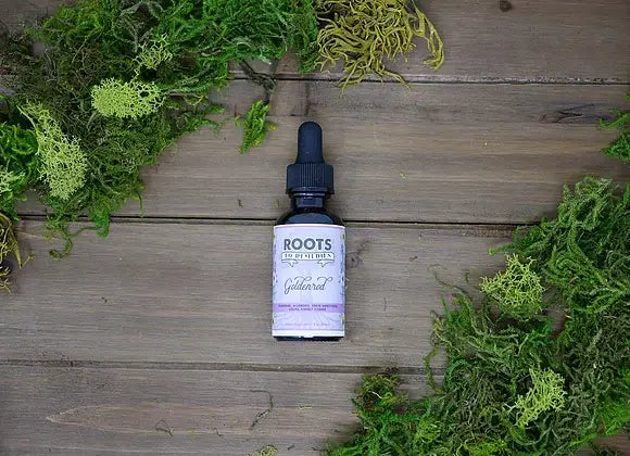 Roots To Remedies - 1 oz Herbal Tincture (Goldenrod)