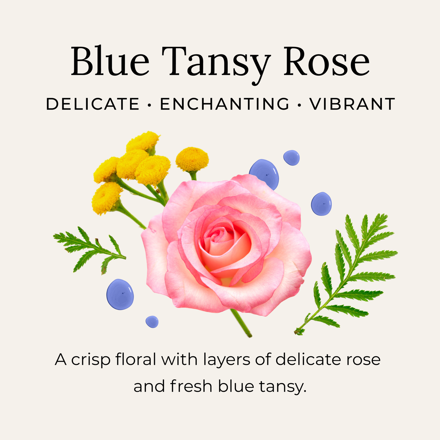 Little Seed Farm - Blue Tansy Rose Deodorant Cream