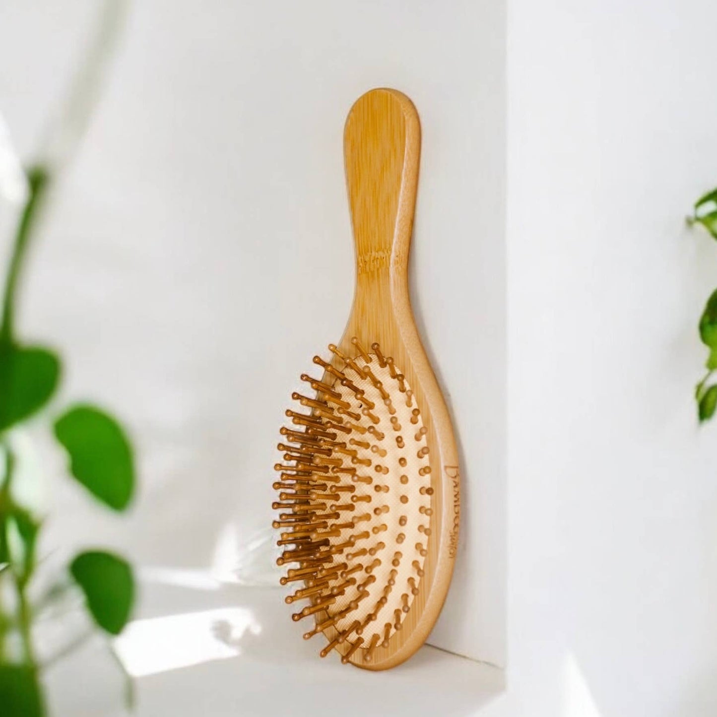 Bamboo Switch - Bamboo Paddle Hairbrush | Round | Market Bestseller