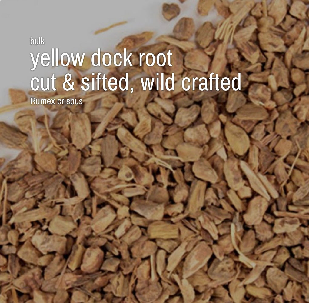 1 oz - Wild Drafted Yellow Dock Root