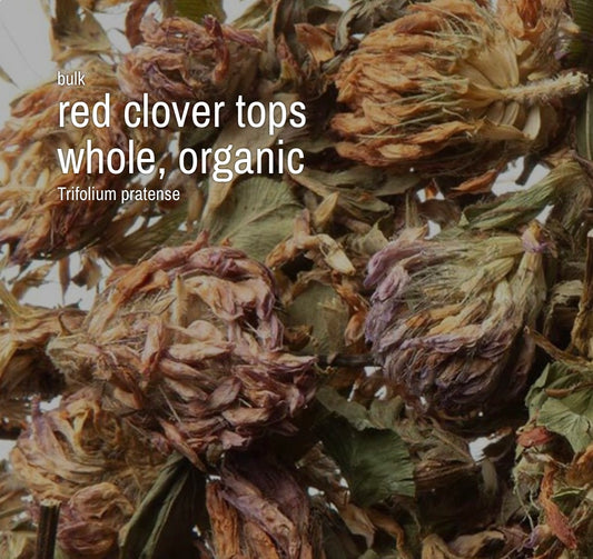Red Clover Tops, Whole, Organic (4 oz)
