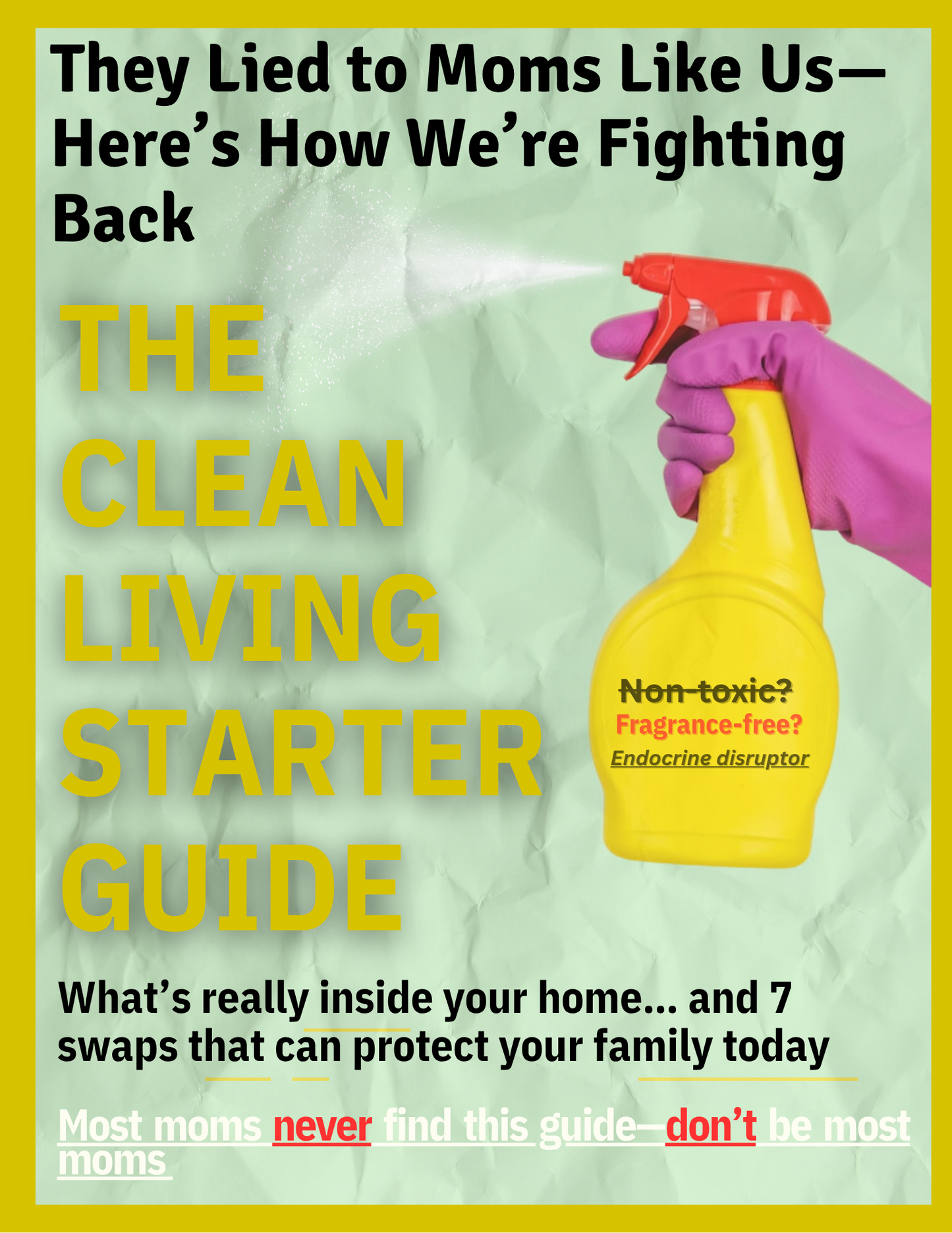 THE CLEAN LIVING STARTER GUIDE